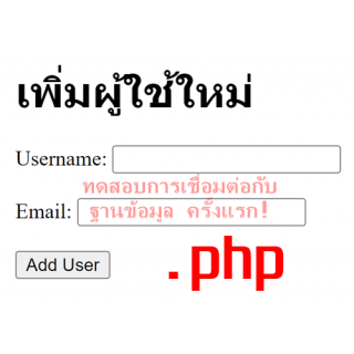 หลักสูตรเร่งรัด! เชื่อมต่อฐานข้อมูล MySQL กับ php ไม่ต้องเขียนโค๊ด โปรเจ็กต์ส่งแบบฟอร์มอีเมล